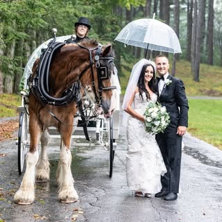 Michael Trifone - Instagram Profile Picture of Michael Trifone (@michaeltrifone) on Instagram