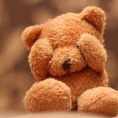 Profile Picture of Amanda (@amanda_voller) on Twitter