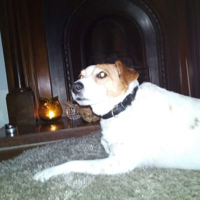 Profile Picture of Matt Freeland (@Mattfreeland07) on Twitter