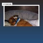 Profile Picture of Richard Behrens (@behrens.richard) on Instagram