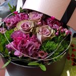 Blumenhaus Meinshausen - Instagram Profile Picture of Blumenhaus Meinshausen (@blumenhausmeinshausen) on Instagram