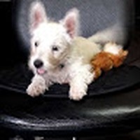 Profile Picture of Judy Haseloh (@judy-haseloh) on Quora