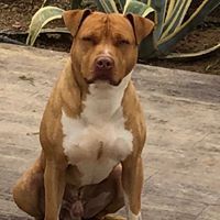 Juan Carlos Barrasa Martin - Pinterest Profile Picture of Juan Carlos Barrasa Martin (@barrasamartin) on Pinterest