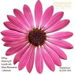 Profile Picture of ekiko (@unwanaekiko07061153815) on Instagram