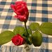 Profile Picture of Diane Reeser (@diane.reeser.1) on Facebook