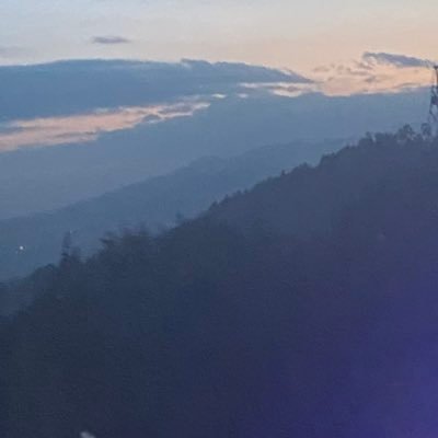 Profile Picture of Merih Gebrai (@GebraiMerih) on Twitter