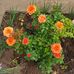 Profile Picture of Roma Singh (@roma.singh.7773631) on Facebook