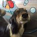 Profile Picture of Timothy Beebe (@timothy.beebe.3) on Facebook