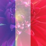 Profile Picture of Pam Plattner (@pam.plattner) on Instagram