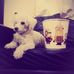 Profile Picture of Alfonso Tinoco (@alfonso.tinoco.587) on Facebook