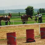 Michael Sonnenfeld - Facebook Profile Picture of Michael Sonnenfeld (@michael.sonnenfeld.754) on Facebook