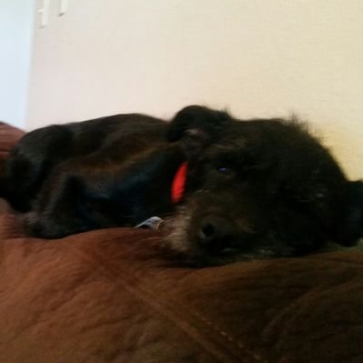 Profile Picture of Tyler Benner (@TylerBenner3) on Twitter