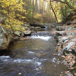 Profile Picture of Joey (@joeyhagan) on Instagram