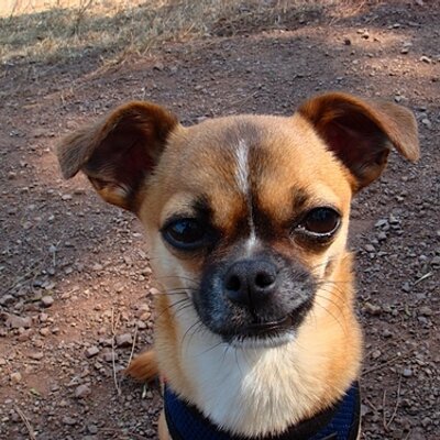 Profile Picture of Elijah Johnston (@ElijahDJ) on Twitter