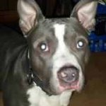 Profile Picture of Margie Lynch (@jpsbabe11250) on Instagram