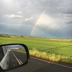 Profile Picture of Sean Hawkes (@sherma.n) on Instagram