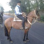 Profile Picture of Heriberto Fuentes (@heriberto.fuentes.35574) on Instagram