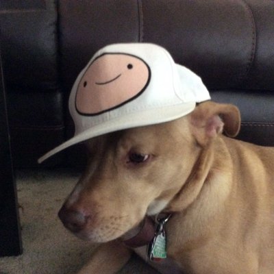 Profile Picture of Kalvin Johnson (@Kalvinjohnson14) on Twitter