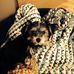 Profile Picture of Dennis Danielson (@dennis.danielson.3979) on Facebook