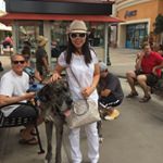 Profile Picture of Thoa Shayla Dinh (@thoashayladinh2013) on Instagram