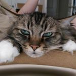 Profile Picture of Jeremy (@timhanley156) on Instagram