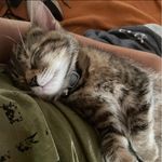 Profile Picture of Micah Adams (@speedymicah09) on Instagram