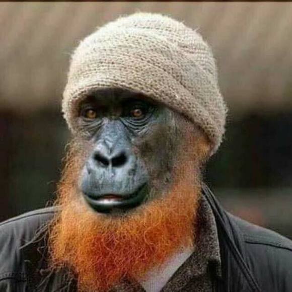 Inusah Awudu - Poshmark Profile Picture of Inusah Awudu (@inusahawudu62) on Poshmark