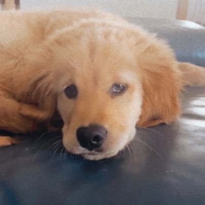 Profile Picture of Chloe Silva (@chloeesilvaa) on Twitter