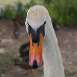 Profile Picture of Jake Bishop (@jake-bishop) on Flickr