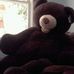 Profile Picture of BigBrown Bear (@bigbrown.bear.146) on Facebook