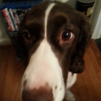 Profile Picture of Lisa Pence (@LisaPence1) on Twitter