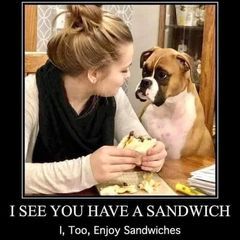 Profile Picture of robertpfundstein (@robertpfundstein) on Tiktok