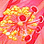 Profile Picture of J&DSparks (@J&DSparks) on Flickr
