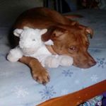 Profile Picture of krysta hayes (@krysta.hayes) on Instagram