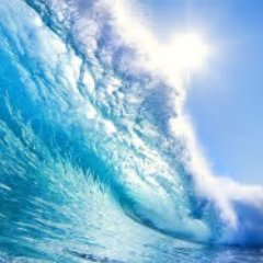 Profile Picture of Michael Malta (@Endurixmm) on Twitter