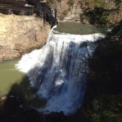 Profile Picture of Suzanne Hull (@HullSuzanne) on Twitter