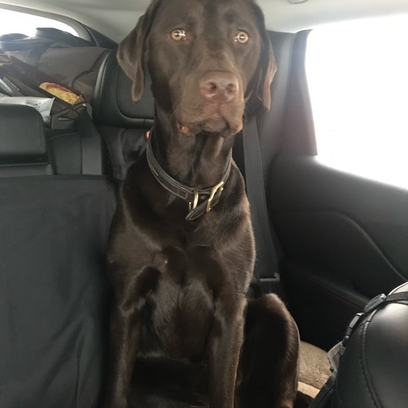 Profile Picture of Debbie Element (@captive70) on Poshmark