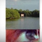 Profile Picture of Eric Ram (@ericramquist) on Instagram