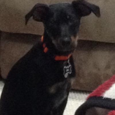 Profile Picture of Aaron Ethier (@AMEthier) on Twitter