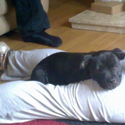 Profile Picture of Ben Ambrose (@ben_2010_ambros) on Twitter