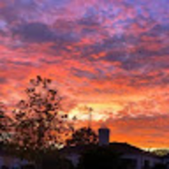 Profile Picture of Lior Grinstein (@liorrr) on Poshmark