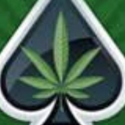 Profile Picture of Andrew Pigott (@ARP_Poker) on Twitter