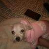 Profile Picture of Donna Neff (@@donnaneff) on Tiktok