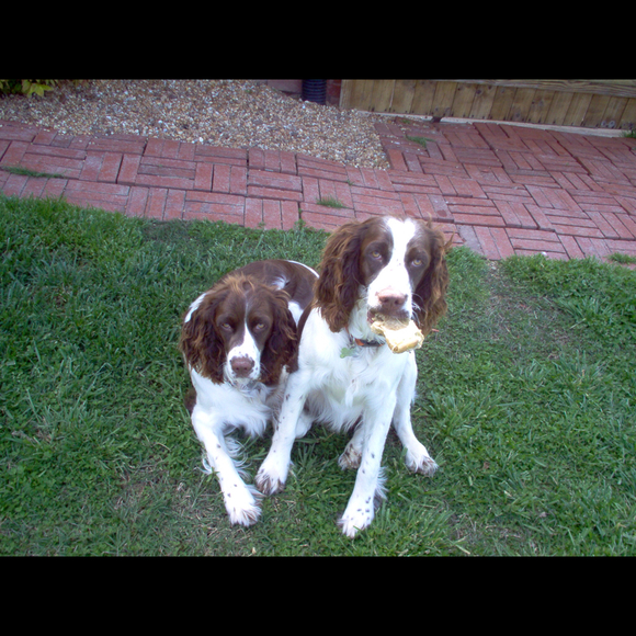 Profile Picture of Krista Shuffstall (@maysun) on Poshmark