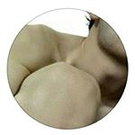 Profile Picture of Marco Fiume (@flussien) on Instagram