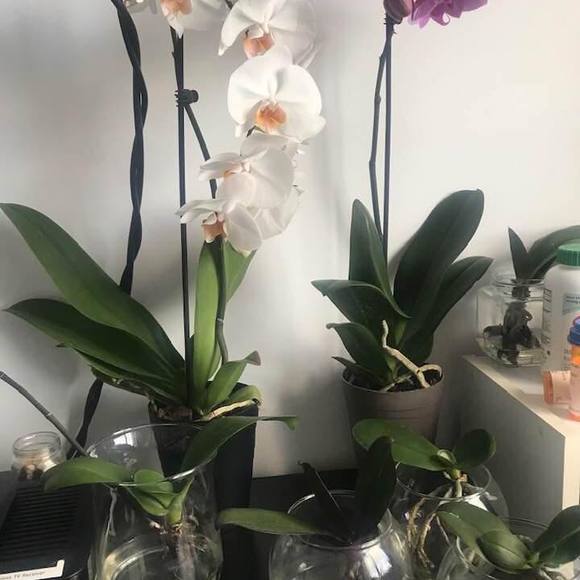 Profile Picture of Manona Martinez (@manona1214) on Poshmark