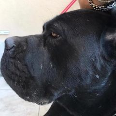 Profile Picture of roynaples (@roynaples) on Tiktok