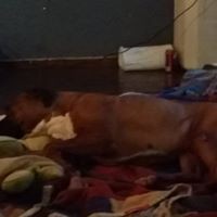 Profile Picture of Robin Stovall Cockrum (@robin-stovall-cockrum-1) on Quora