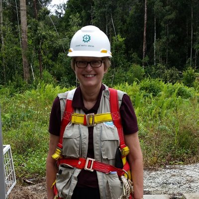 Profile Picture of Sue Page (@@vivaalexjobs) on Twitter