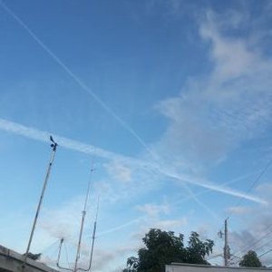 Profile Picture of Miguel Aguiar (@miguelaguiar990) on Twitter